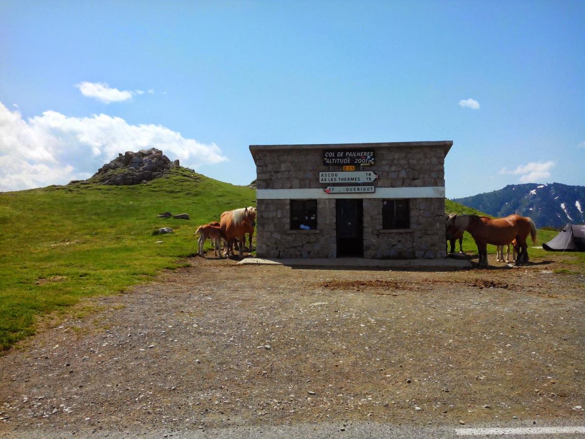 Gite Chaleureux Au Coeur Du Village Roquetaillade Exterior foto